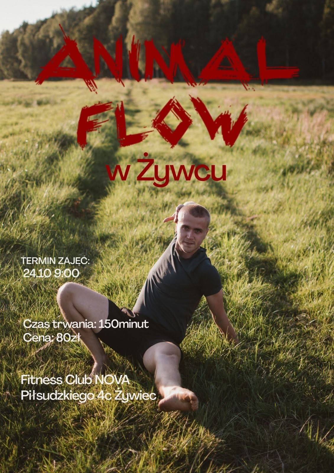Plakat: Animal Flow w Żywcu – warsztaty Flow Zabawa