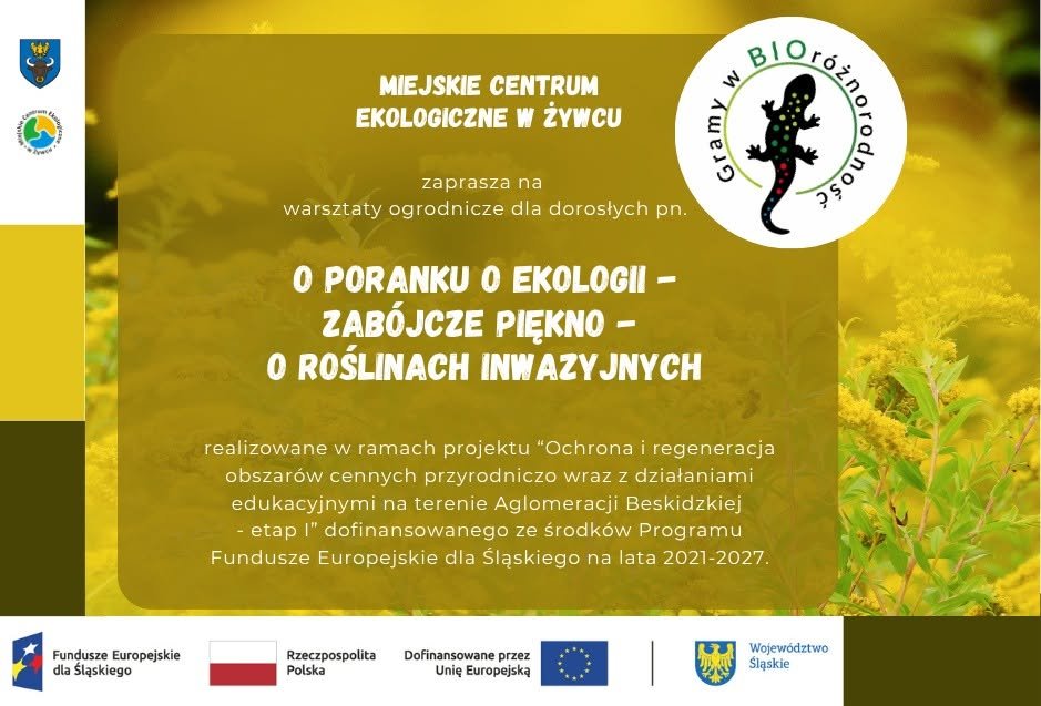 Plakat: O poranku o ekologii – Zabójcze piękno – o roślinach inwazyjnych